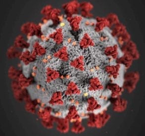 Rendering of COVID-19 coronavirus from the CDC.