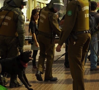 Riot dog El Negro Matapacos barks at Chilean police