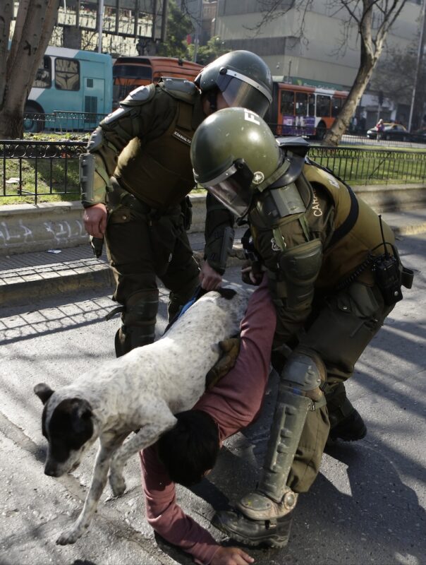 A dog that looks like El Vaquita in Chilean protest