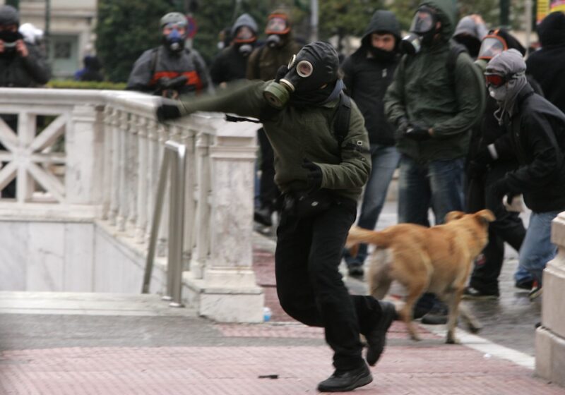 Riot dog in 2009 Greece protests