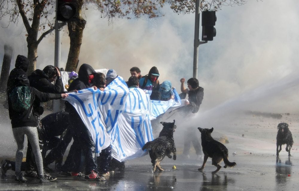 Protest dogs in Santiago 2011