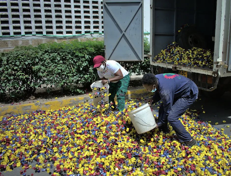 Gjenge Makers with plastic waste in 2021