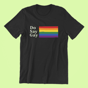 Do Say Gay pride shirt in unisex sizes